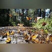 Kevin Sieff., Washington Post