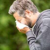 אלרגיה. | שאטרסטוק