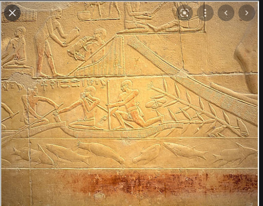 מצביעים לעבר המים. | יהושע ברמן