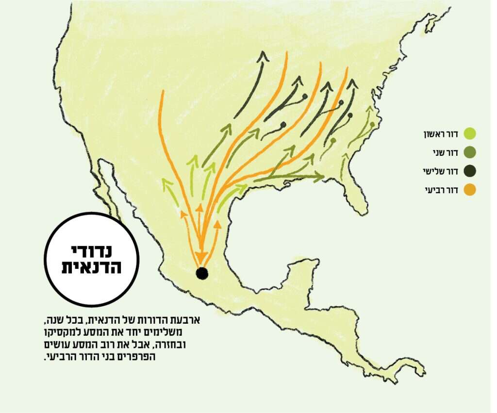 איור: דגנית רודובסקי