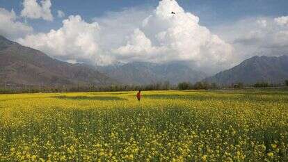 אילוסטרציה. | AFP
