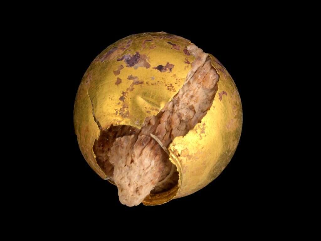 ראש סיכה עשוי עץ ומצופה זהב. | דפנה גזית, רשות העתיקות