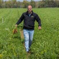 מורן פרייבך. | לירון מולדובן