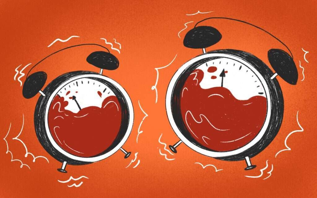 איור: רעות בורץ