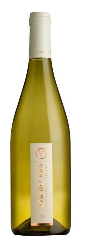 יקב ויתקין, מסע ישראלי לבן 2022. | יח"צ HR