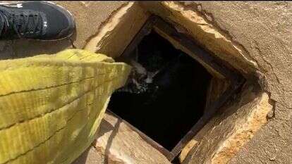 מסך מתוך הסרטון של רשות הטבע והגנים