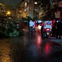 עץ שקרס בבני ברק, הלילה. | איחוד הצלה