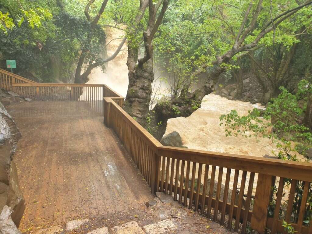 מפל הבניאס זורם בעוצמה, | ליאור שלף, רשות הטבע והגנים