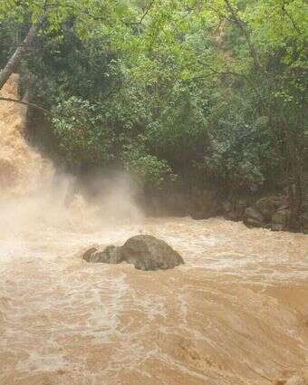 מפל הבניאס זורם בעוצמה, חורף 23'. | ליאור שלף, רשות הטבע והגנים