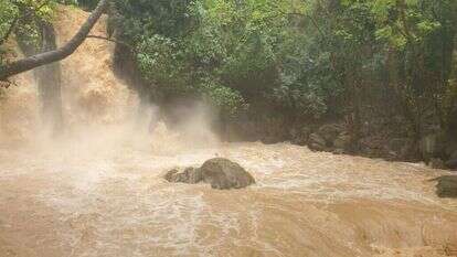 מפל הבניאס זורם בעוצמה, חורף 23'. | ליאור שלף, רשות הטבע והגנים
