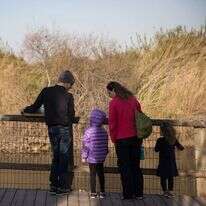 גשר הצבים. | הדס פרוש/פלאש90