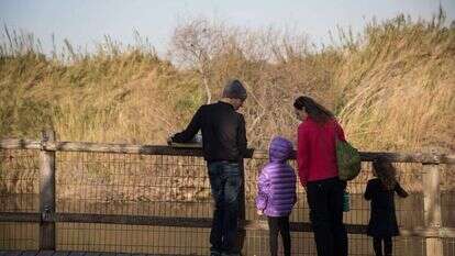 גשר הצבים. | הדס פרוש/פלאש90