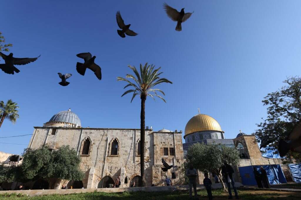 הר הבית. | EPA