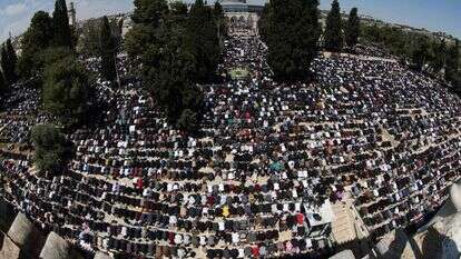 תפילת יום שישי בהר הבית. | AFP תפילת יום שישי בהר הבית. | AFP