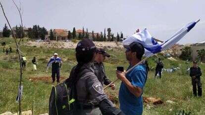 עקירת הבוסתן בנוקדים.