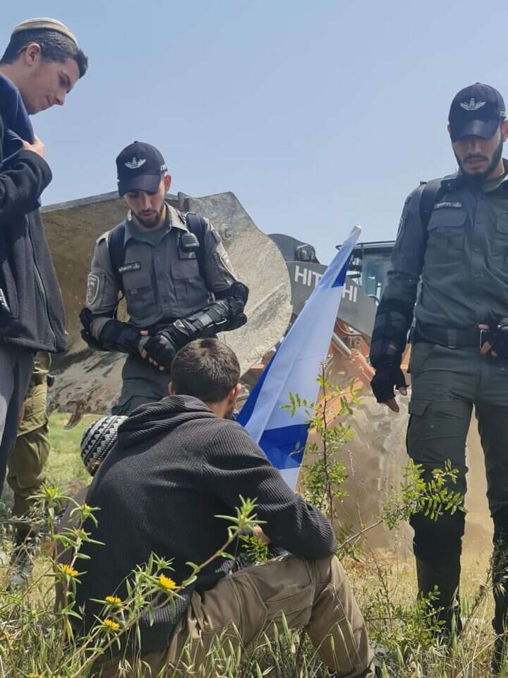 עקירת הבוסתן בנוקדים.