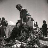 קבר האחים בקיבוץ מעוז־חיים לנופלים בקרב מלכיה, 1948. | אוסף מיתר, האוסף הלאומי לתצלומים על שם משפחת פריצקר, הספרייה הלאומית