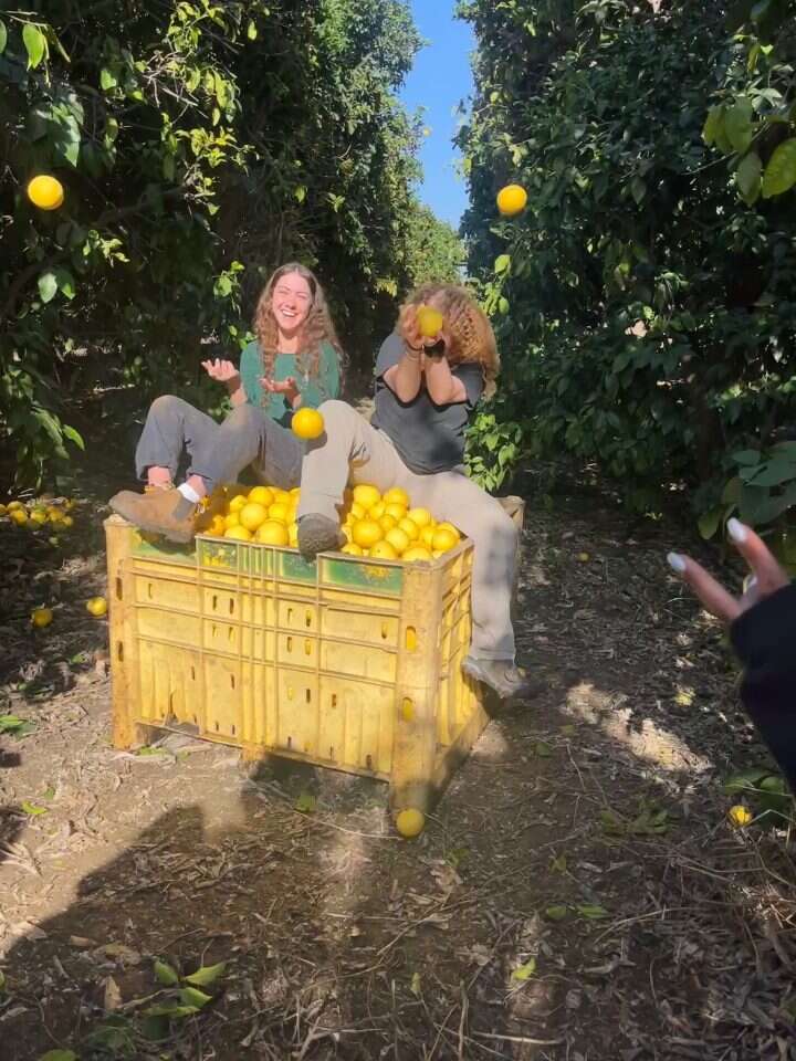 חיבור לאנשים ואדמה. מתנדבות בארגון. | באדיבות השומר החדש
