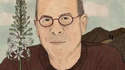 איור: שרון ארדיטי