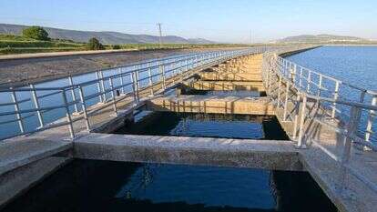 מאגר אשכול של המוביל הארצי. | אייל מרגולין, ג'יני