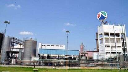 ענף בפיקוח הדוק. מפעל של תנובה ברחובות, אילוסטרציה. | יוסי זליגר, פלאש 90