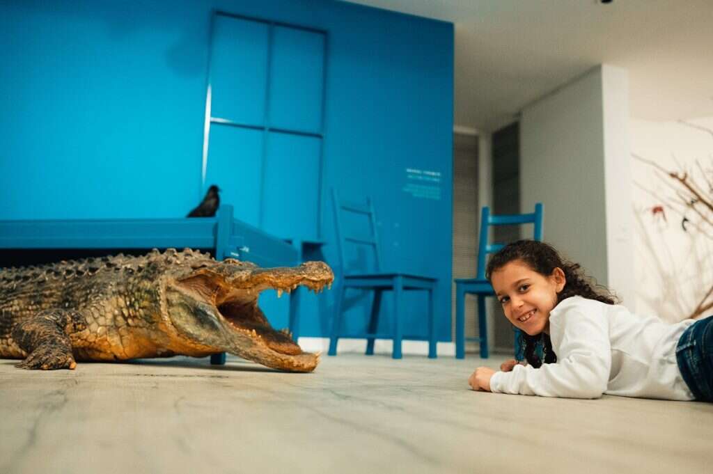 מוזיאון האדם והחי. | נדב כהן מוזיאון האדם והחי. | נדב כהן