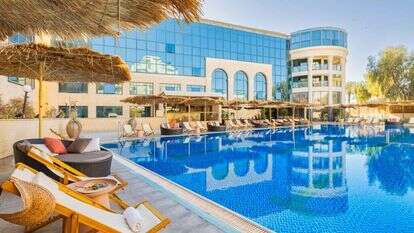 בראון רד סי באילת. | מקס קובלסקי