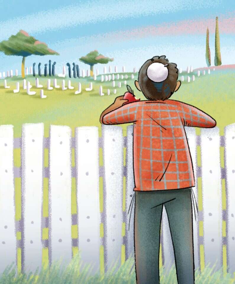 איור: נעמה להב