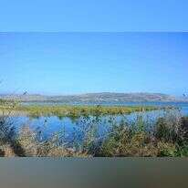 הכנרת. | איגוד ערים כינרת