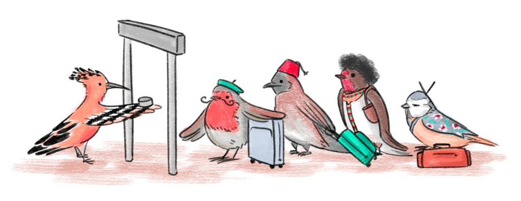 איור: אפרת קדרי איור: אפרת קדרי