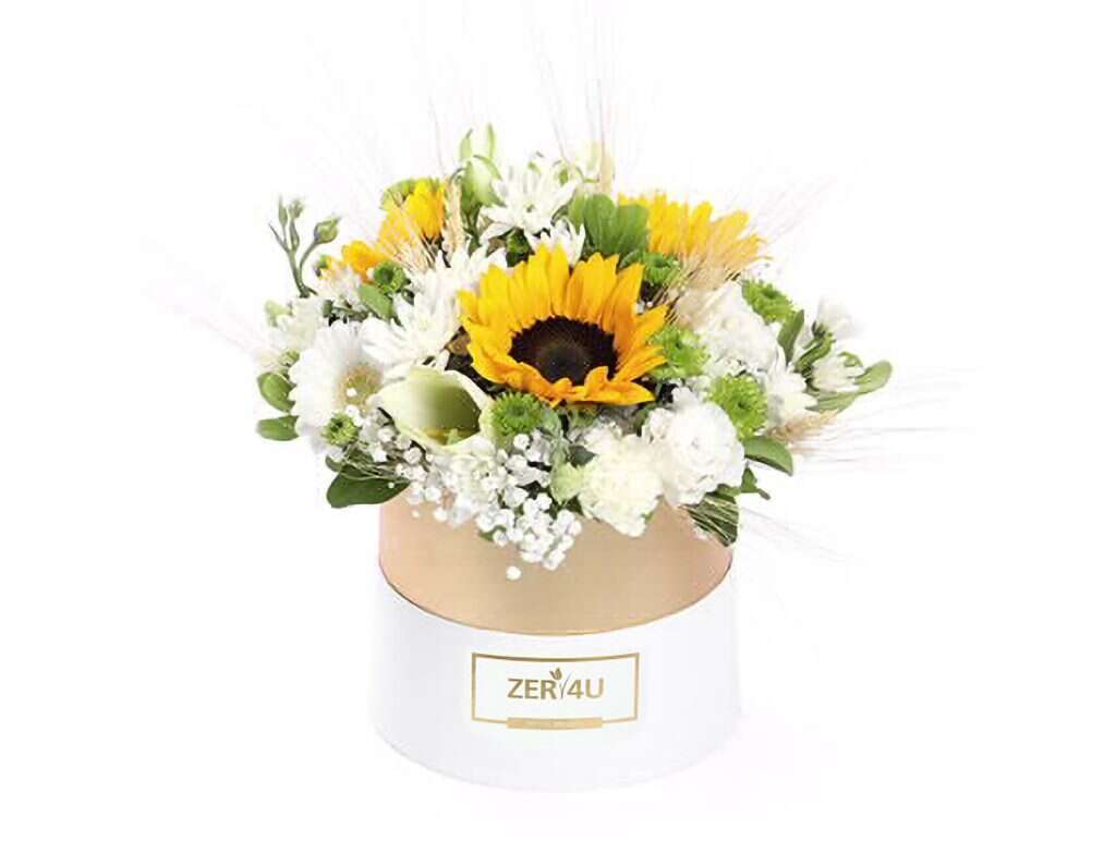 זר פור יו. | יח"צ