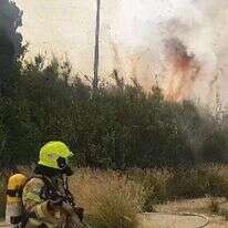 שרפה בצומת סגולה. | כבאות והצלה אריאל