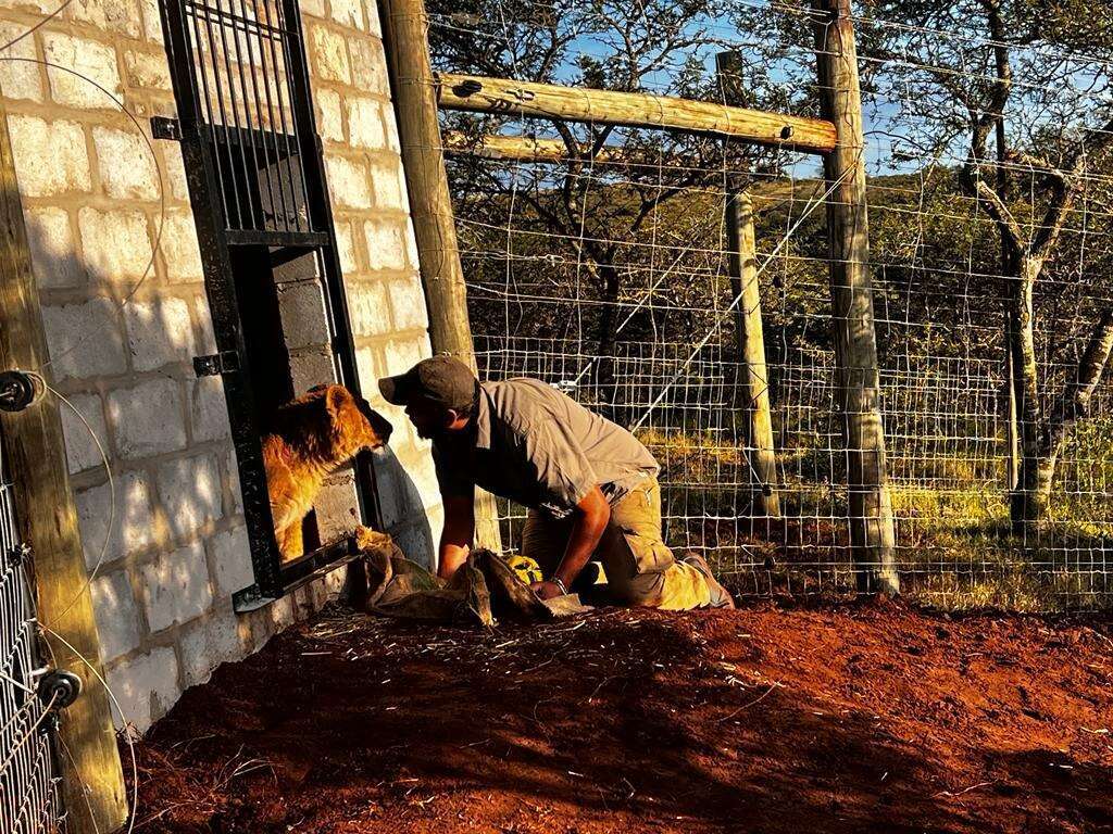 ניקול בנג'מין פינק