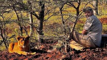 ניקול בנג'מין פינק