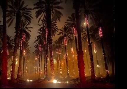 השריפה ליד קליה, הלילה. | כבאות והצלה