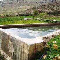 וואדי פוכין, גוש עציון. | בית ספר שדה כפר עציון