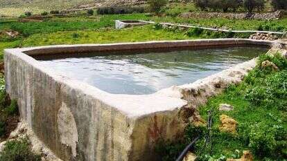 וואדי פוכין, גוש עציון. | בית ספר שדה כפר עציון