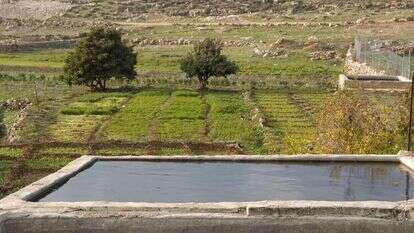 וואדי פוכין, גוש עציון. | בית ספר שדה כפר עציון