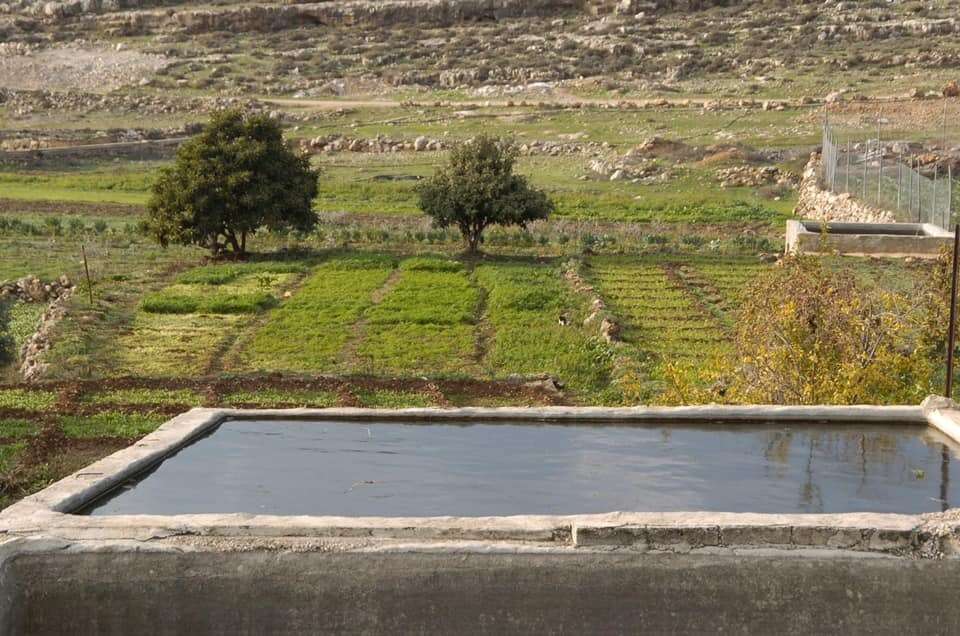 וואדי פוכין, גוש עציון. | בית ספר שדה כפר עציון