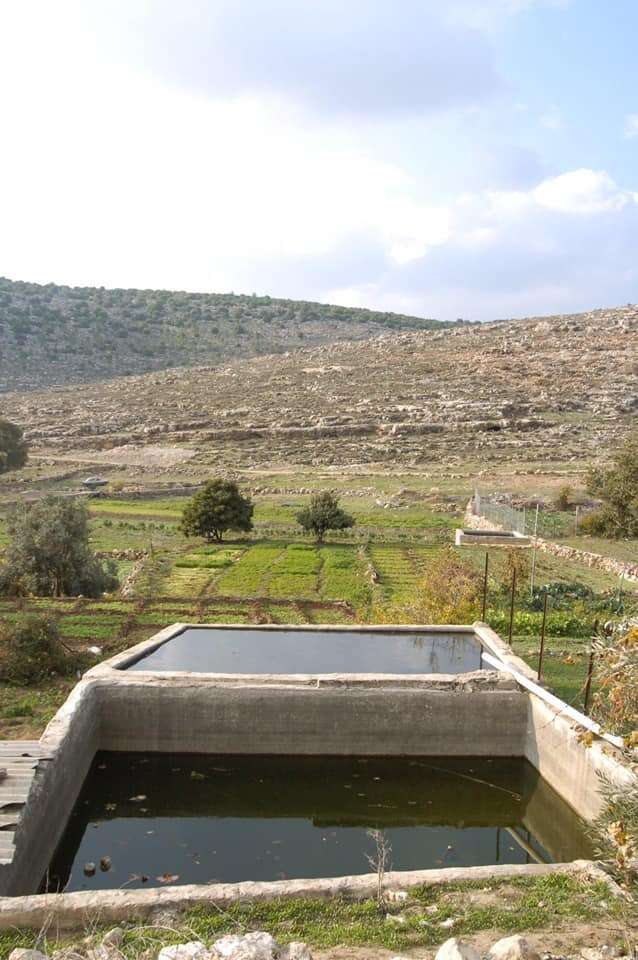 וואדי פוכין, גוש עציון. | בית ספר שדה כפר עציון