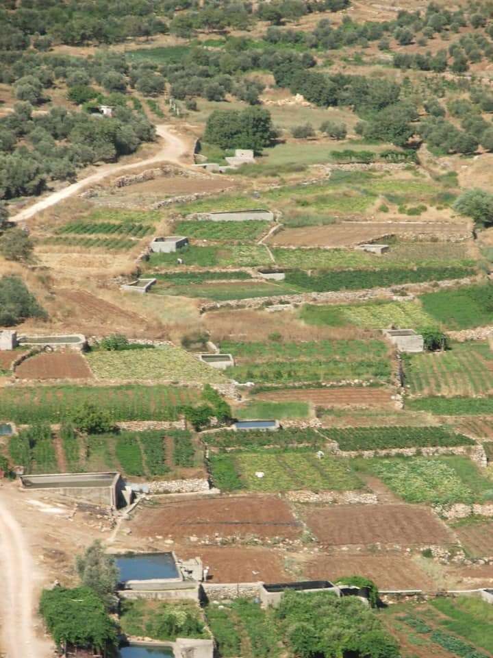 וואדי פוכין, גוש עציון. | בית ספר שדה כפר עציון