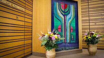 שבועות בבית כנסת באפרת. אילוסטרציה. | גרשון אלינסון, פלאש 90 שבועות בבית כנסת באפרת. אילוסטרציה. | גרשון אלינסון, פלאש 90