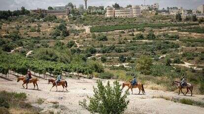 גוש עציון. | גרשון אלינסון פלאש 90