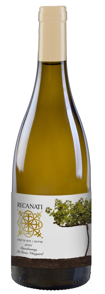 סטודיו קו חדש