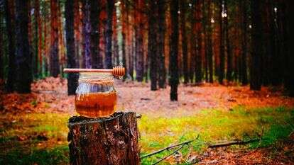 דבש. | שאטרסטוק