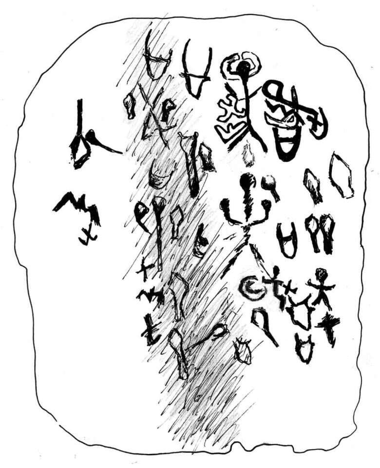 הניתוח הפילולוגי של ד"ר פיטר ואן דר וין