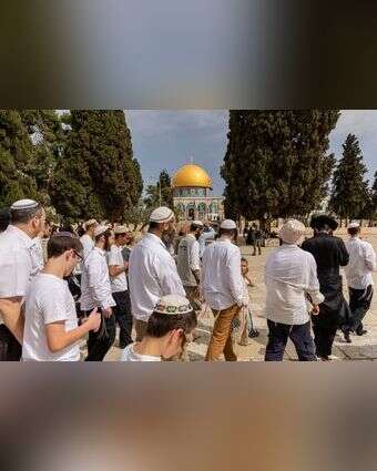 יהודים בהר הבית. | נעמה שטרן, פלאש 90