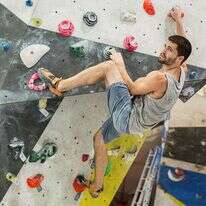 מושפעים מפריחת ענף הנינג'ה. קיר טיפוס. | אבישג שאר־ישוב