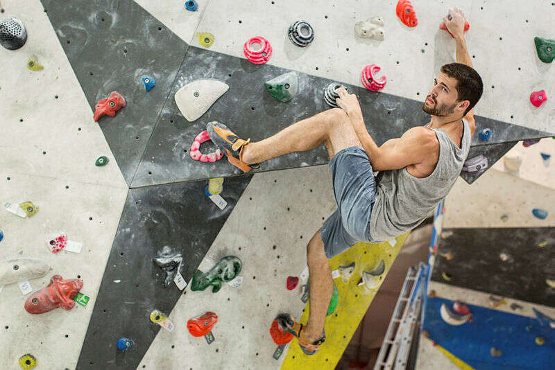 מושפעים מפריחת ענף הנינג'ה. קיר טיפוס. | אבישג שאר־ישוב