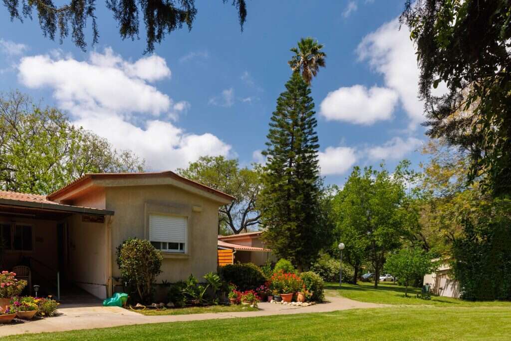 ברוך גרינברג